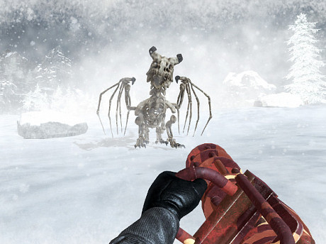 Cacciatore di draghi FPS